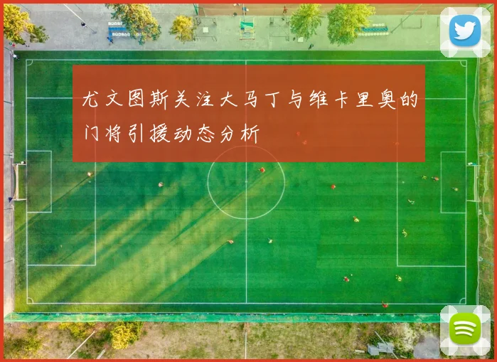 尤文图斯关注大马丁与维卡里奥的门将引援动态分析