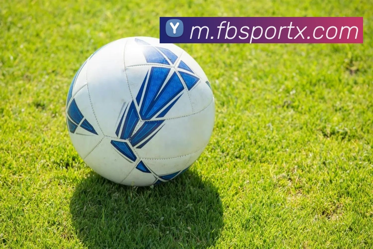 FB体育品牌故事