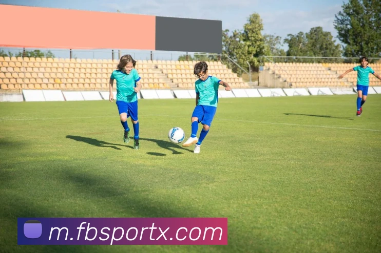 FB体育服务体系